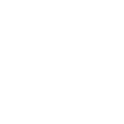 Investment Narrative